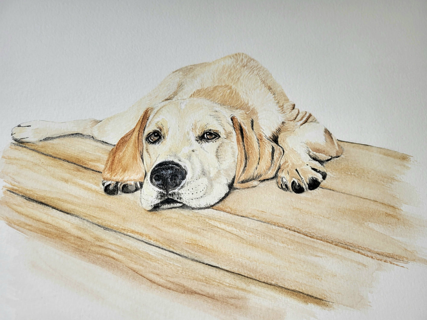 Pet Portrait Commission