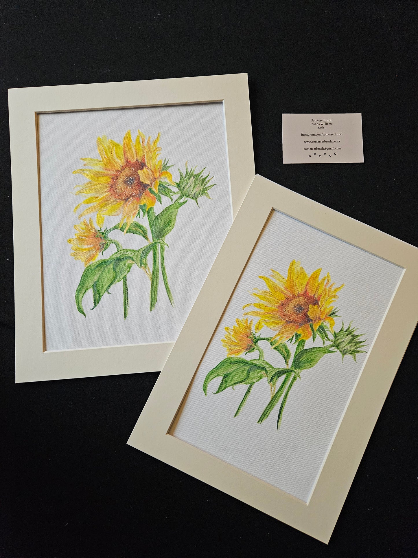Sunflower Hand Finished Canvas Prints with Mount