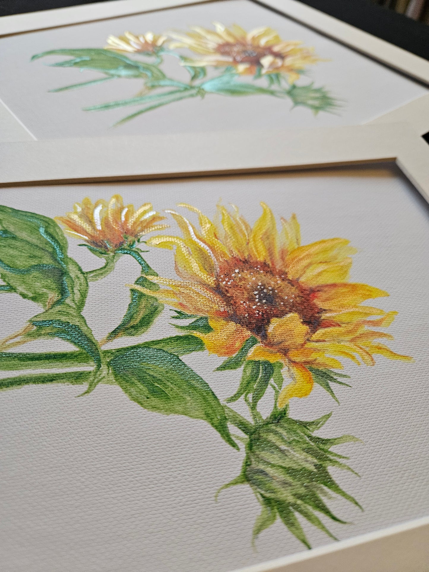 Sunflower Hand Finished Canvas Prints with Mount