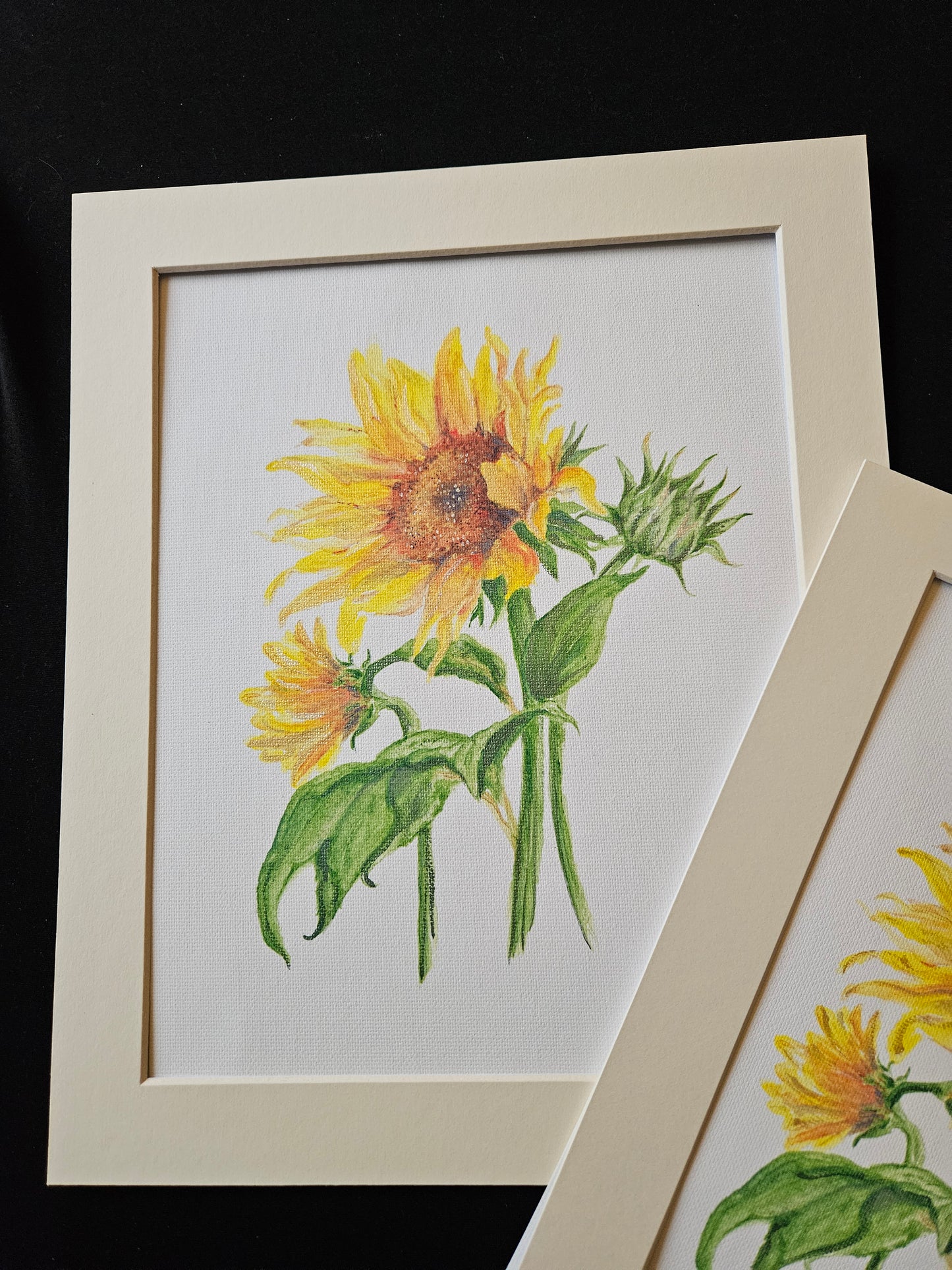 Sunflower Hand Finished Canvas Prints with Mount