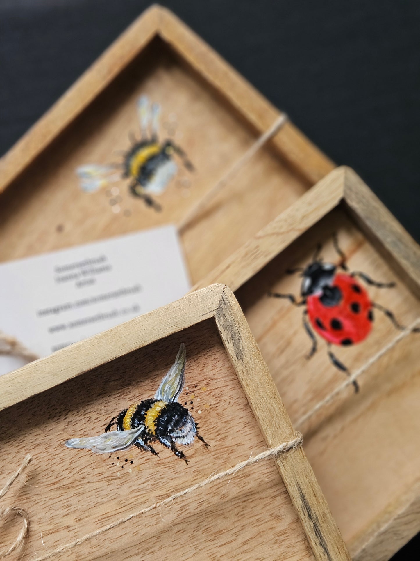 Hand Painted Mango Wood bee tray