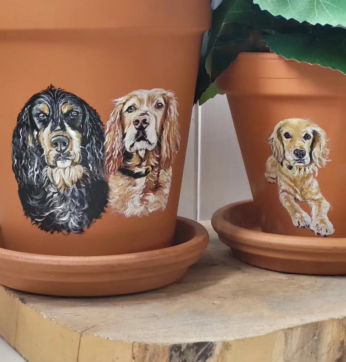 Hand painted pet terracotta plant pots