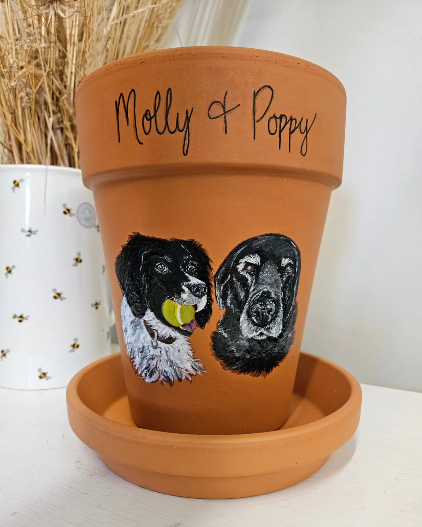 Hand painted pet terracotta plant pots
