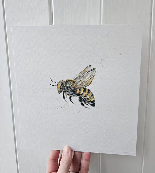 Honey Bee canvas prints with mount