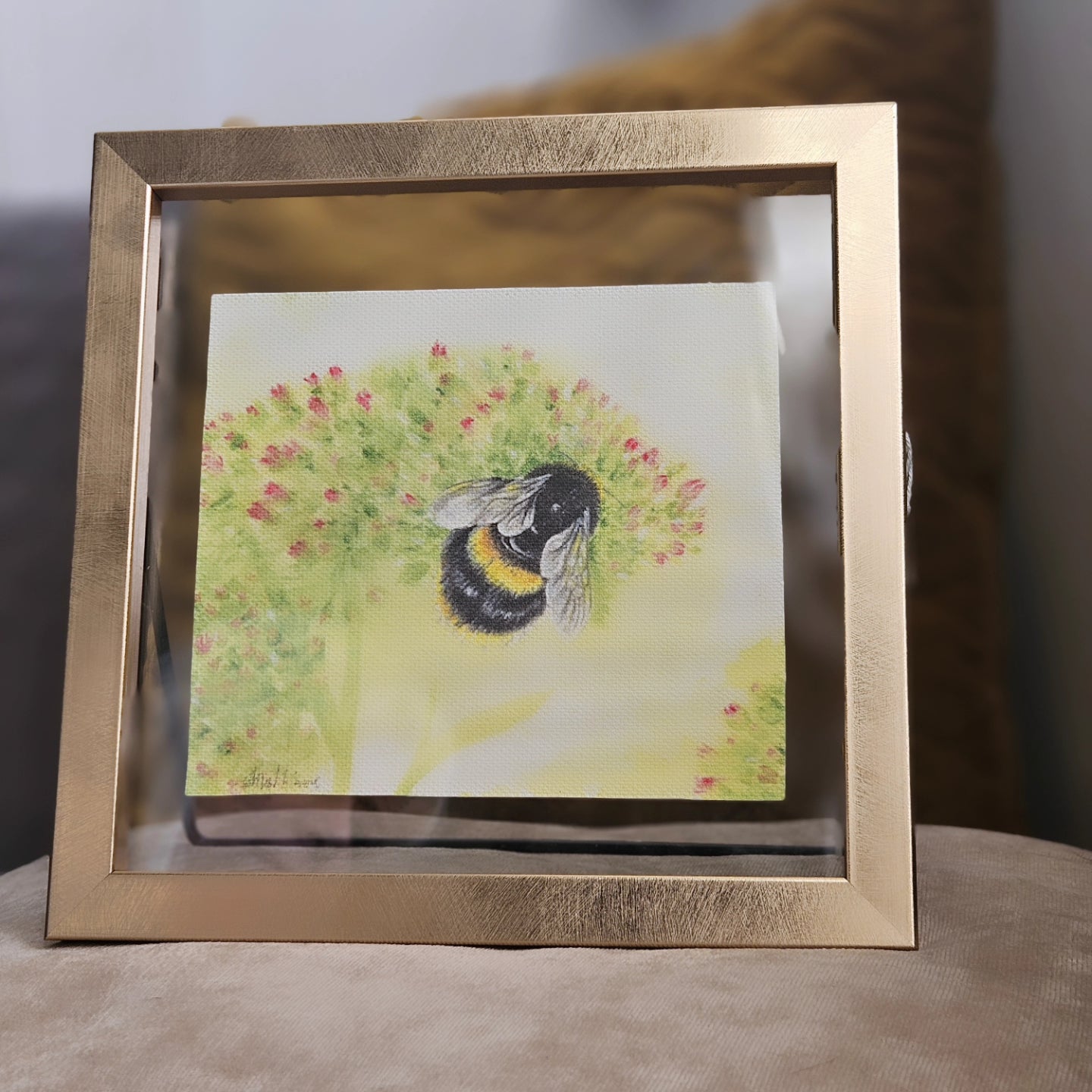 ✨️🐝 Sedum Bumble 🐝✨️