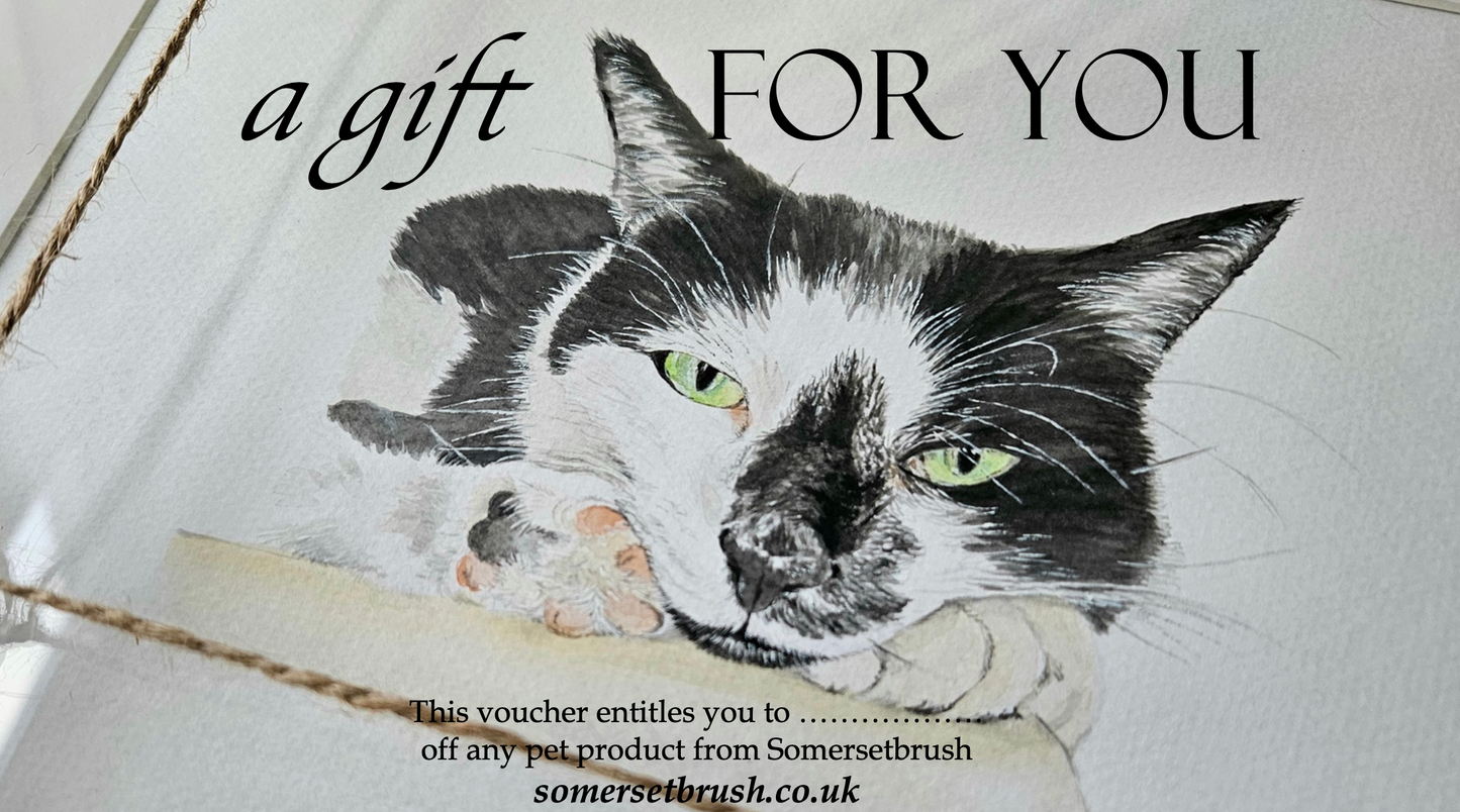 Pet Portrait Voucher