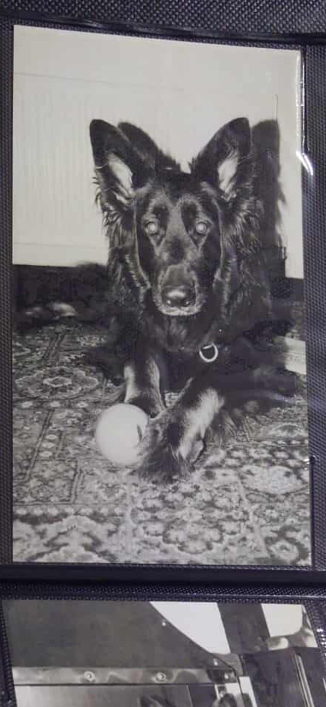 Pet Portrait Bauble Commission- Donna