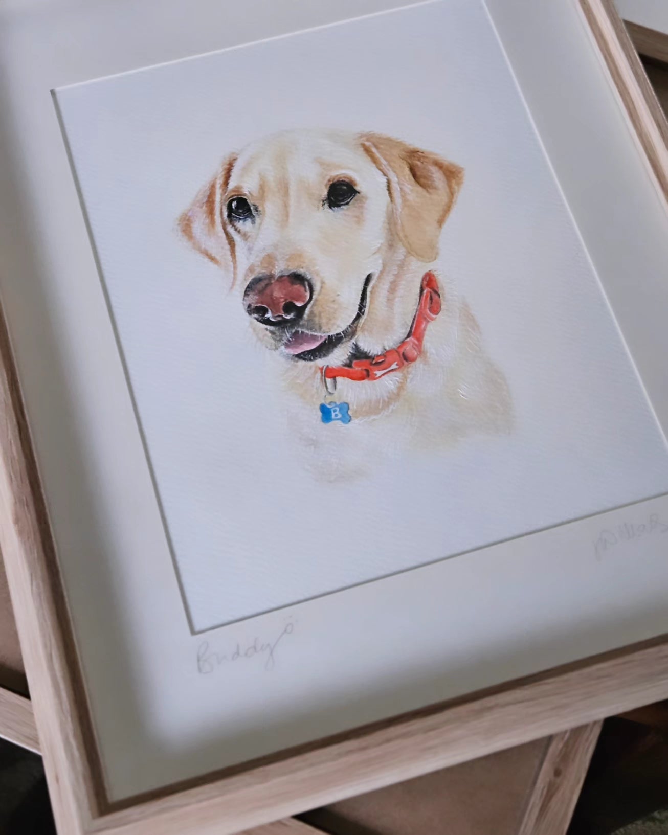 Pet Portrait Commission