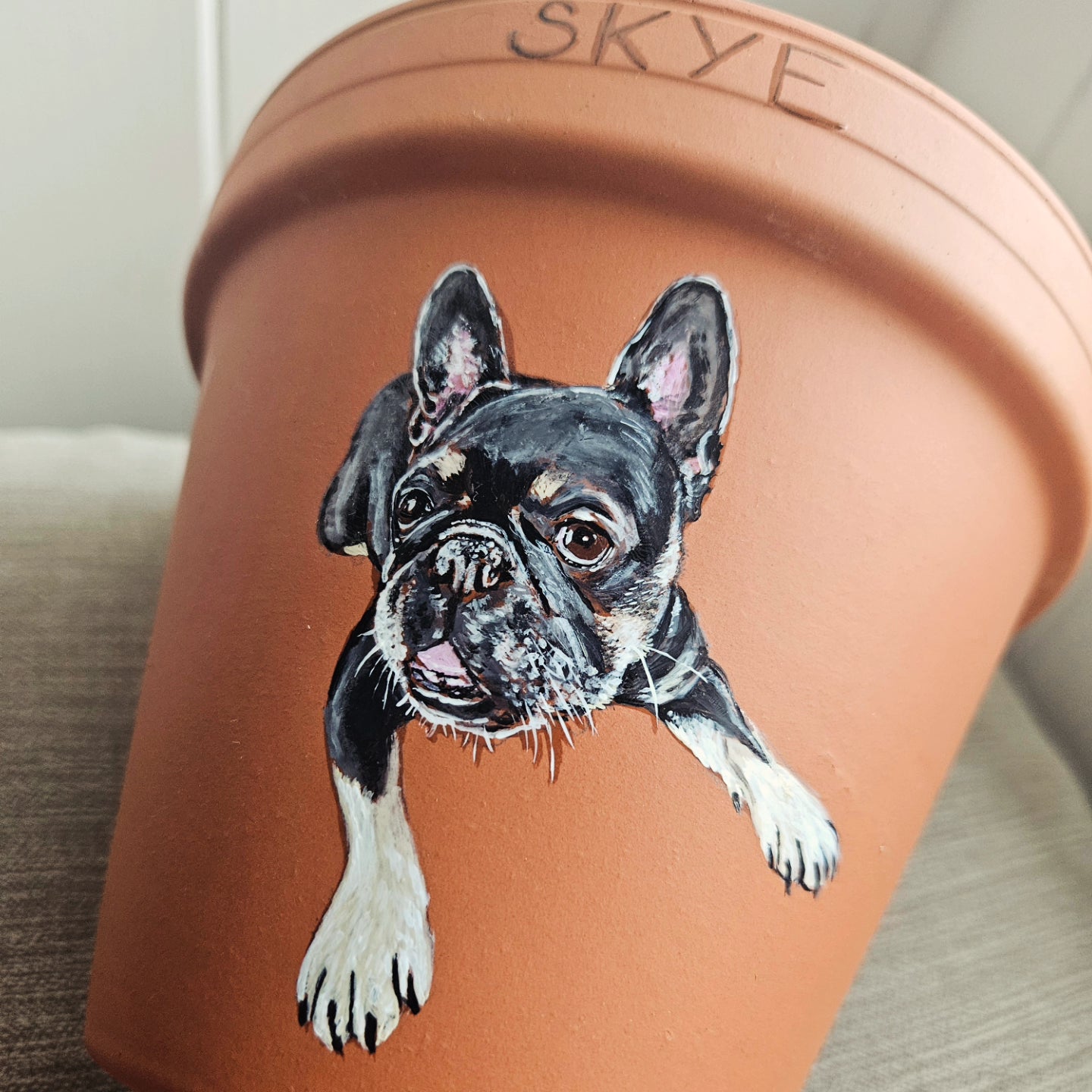 Hand painted pet terracotta plant pots