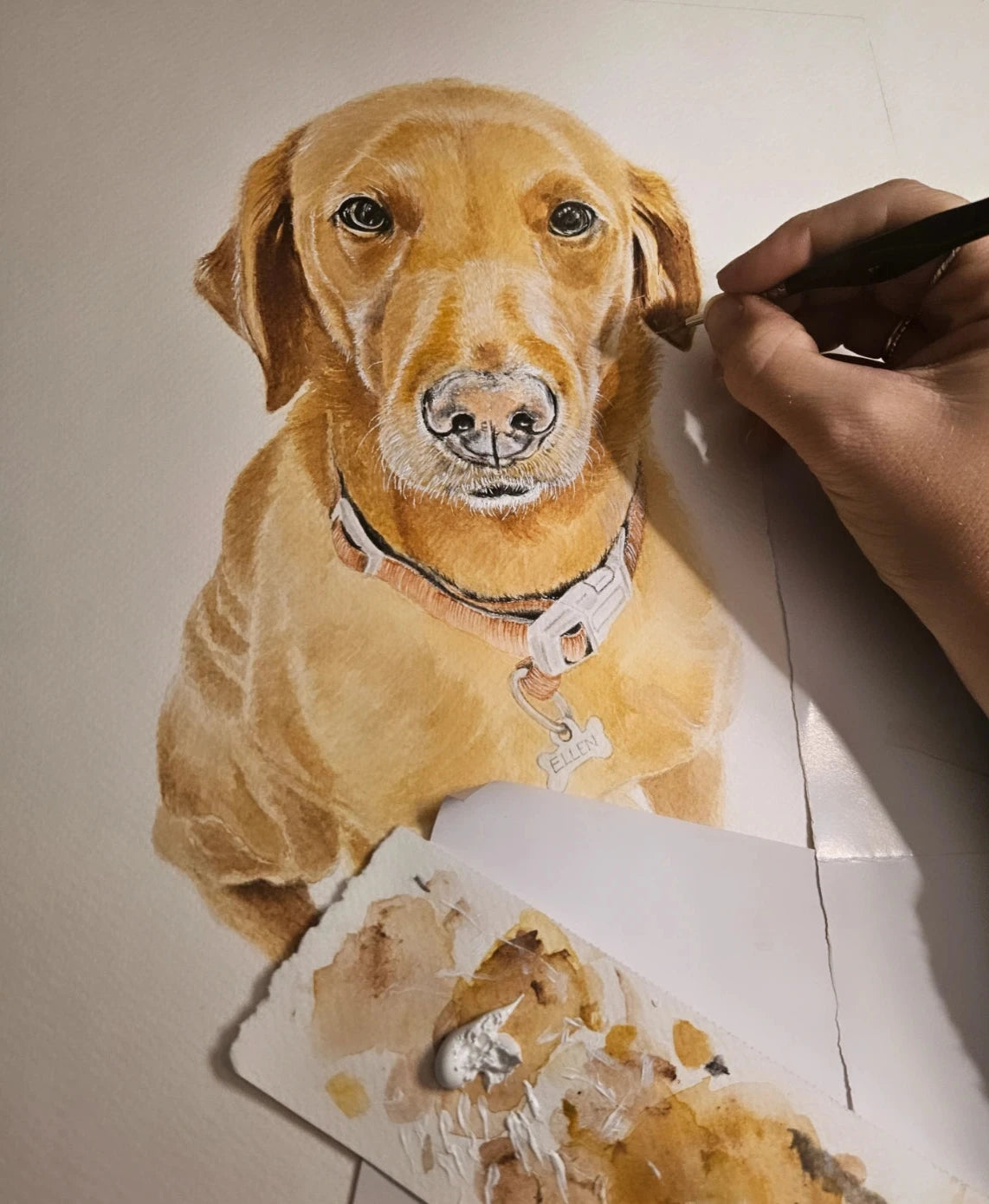 Pet Portrait Commission