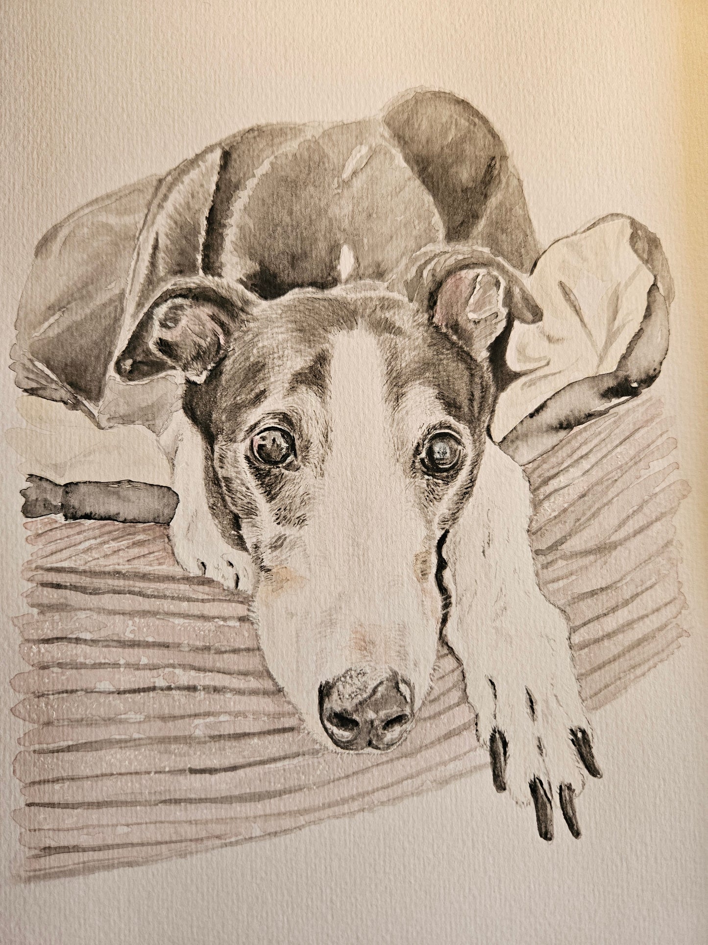 Pet Portrait Commission