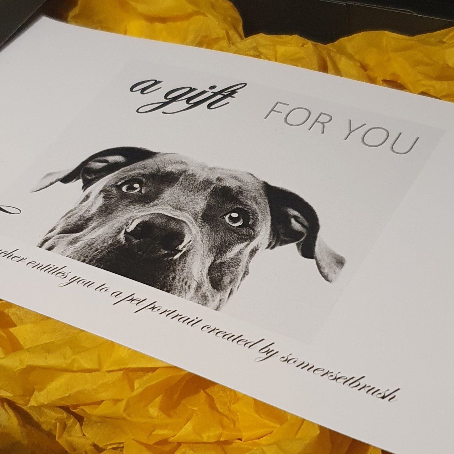 Pet Portrait Voucher
