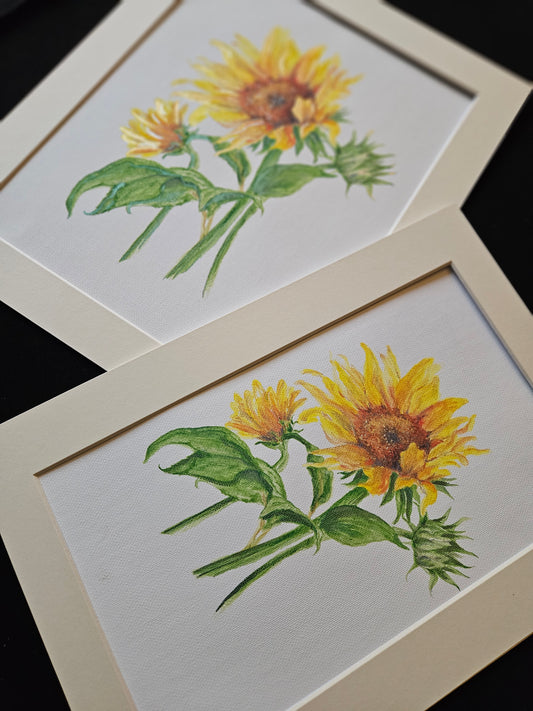 Sunflower Hand Finished Canvas Prints with Mount