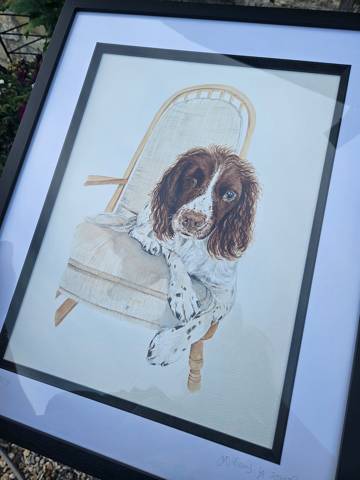 Pet Portrait Commission