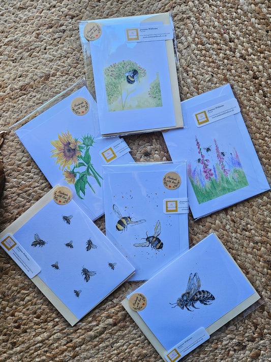 Pack of 6 cards / envelopes.