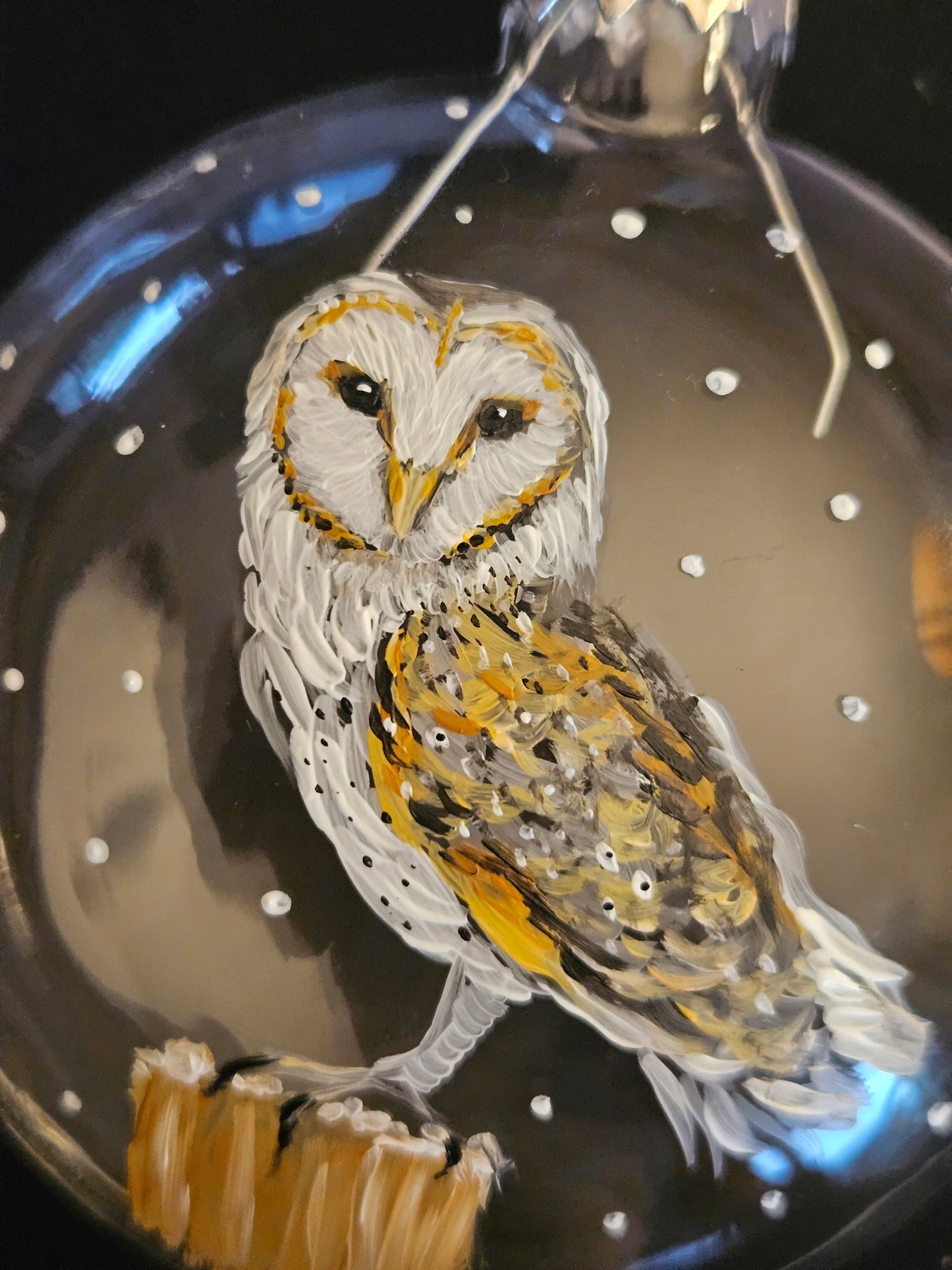 OWL hand painted glass boxed bauble