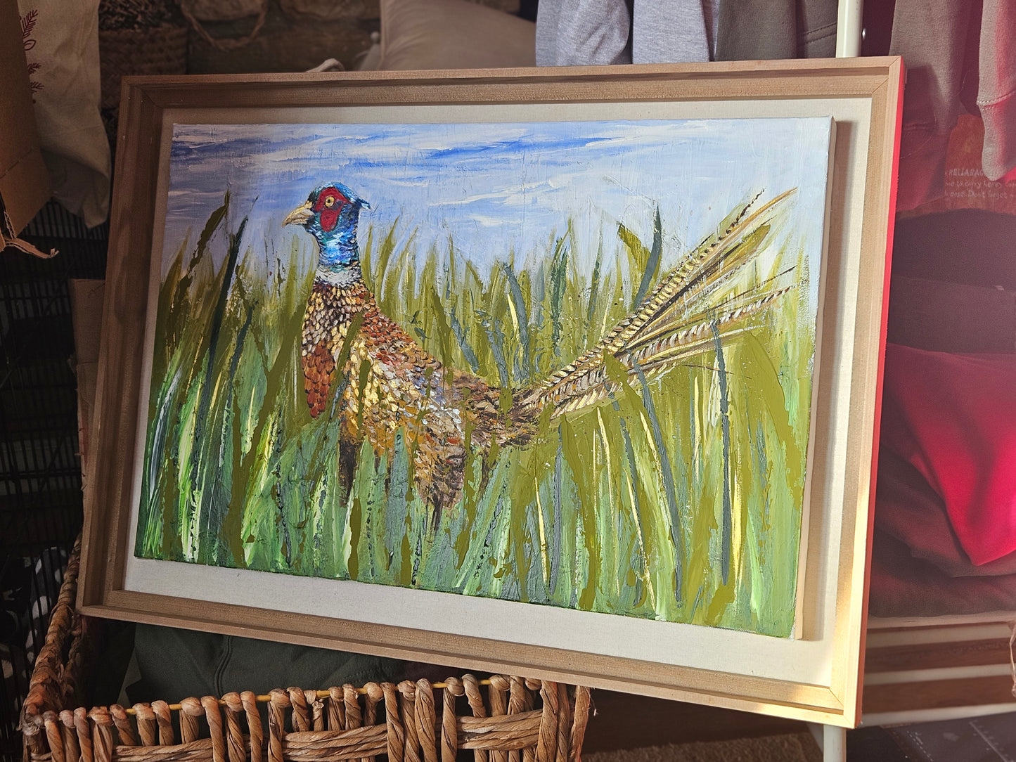 Farm Field Pheasant