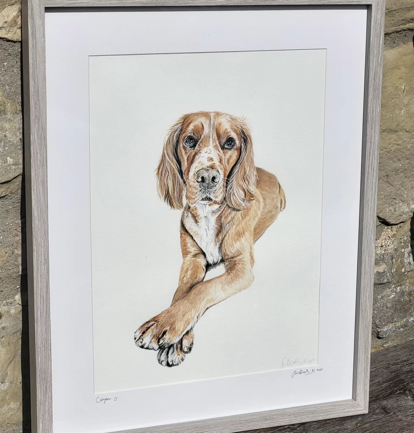 Pet Portrait Commission