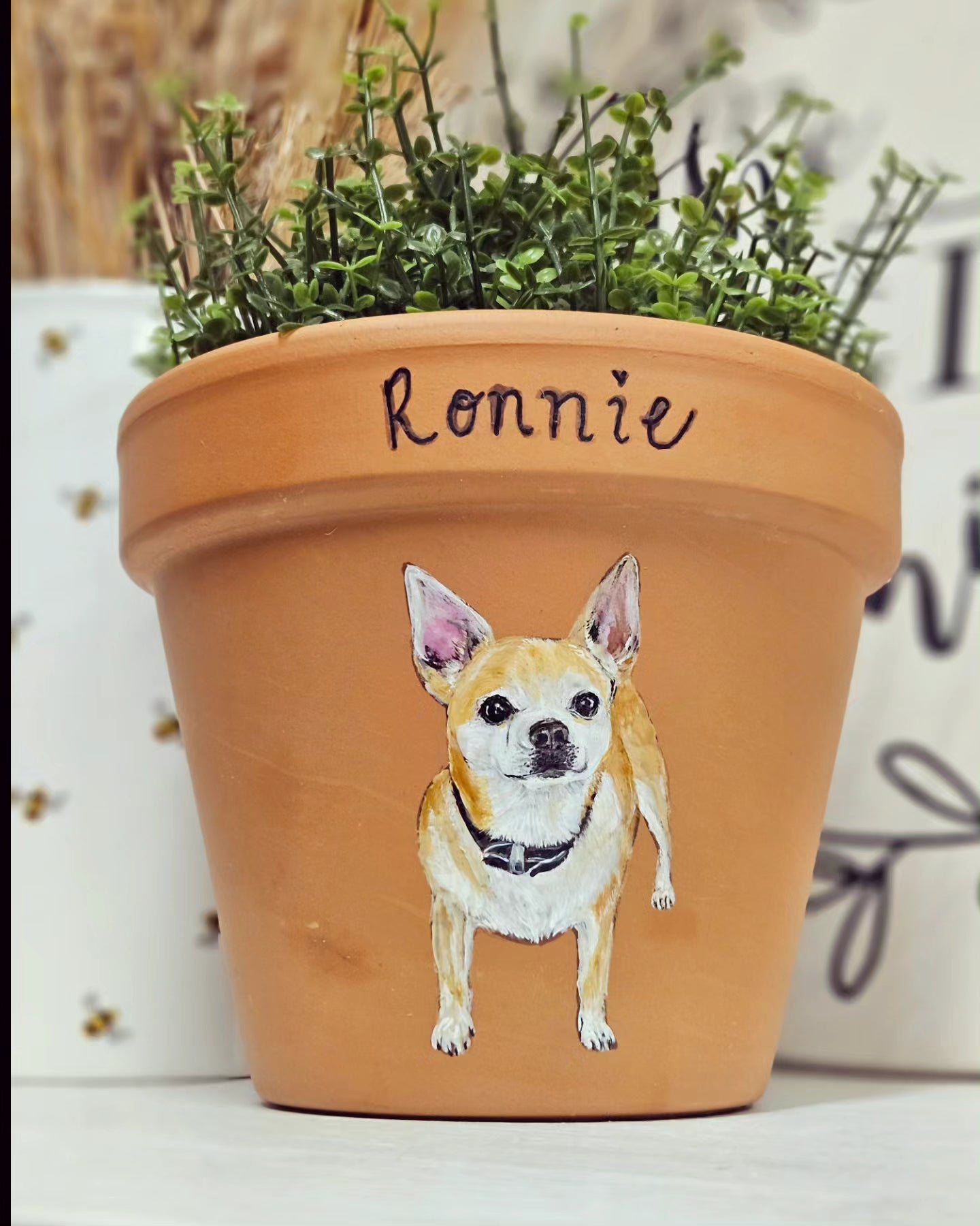 Hand painted pet terracotta plant pots