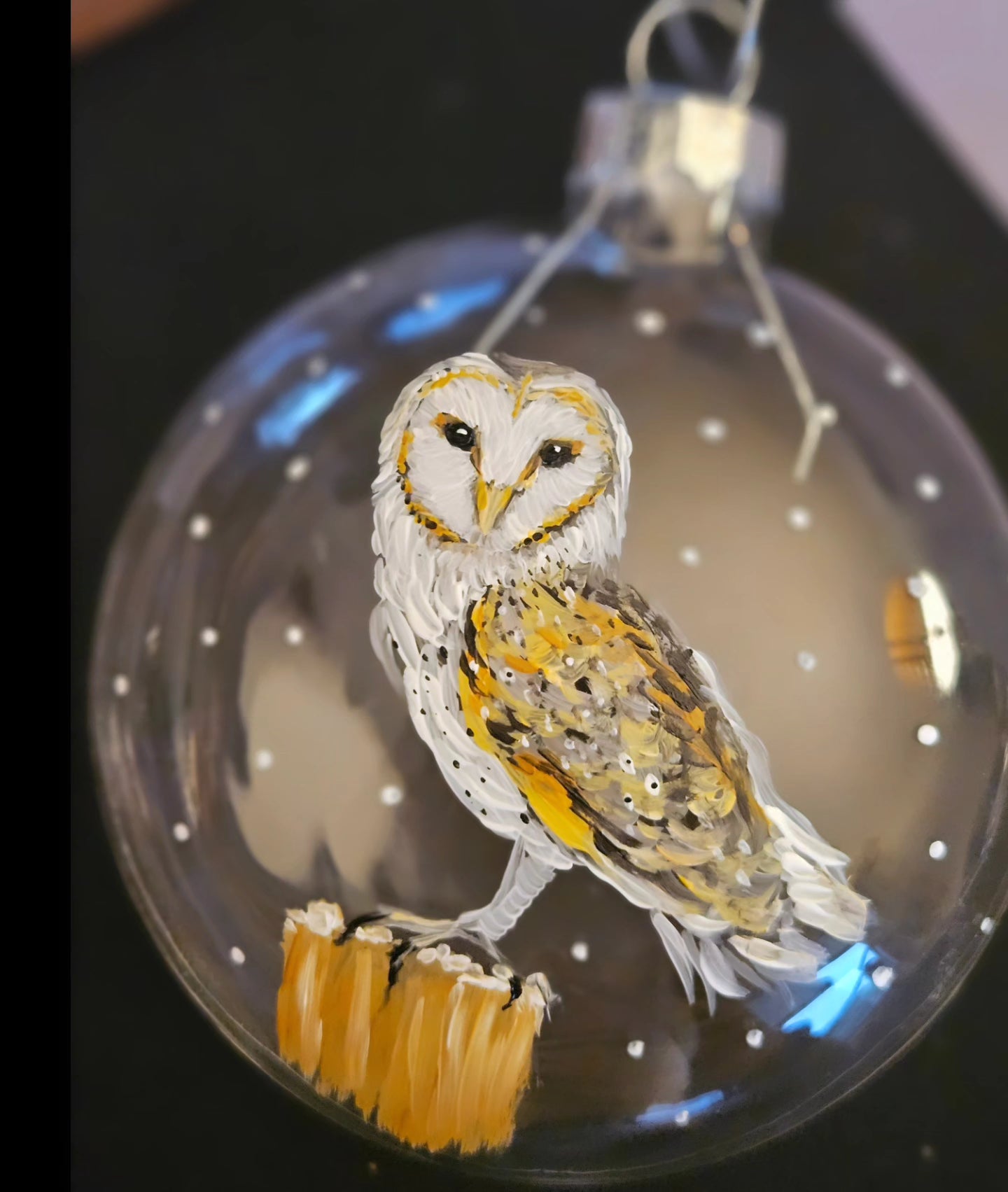OWL hand painted glass boxed bauble