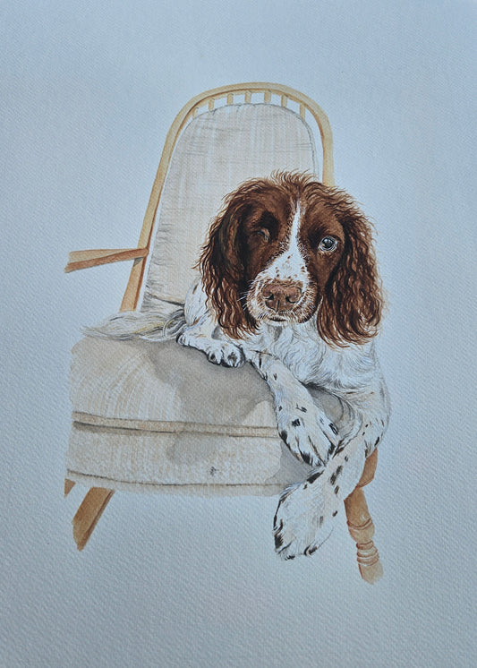 Pet Portrait Commission