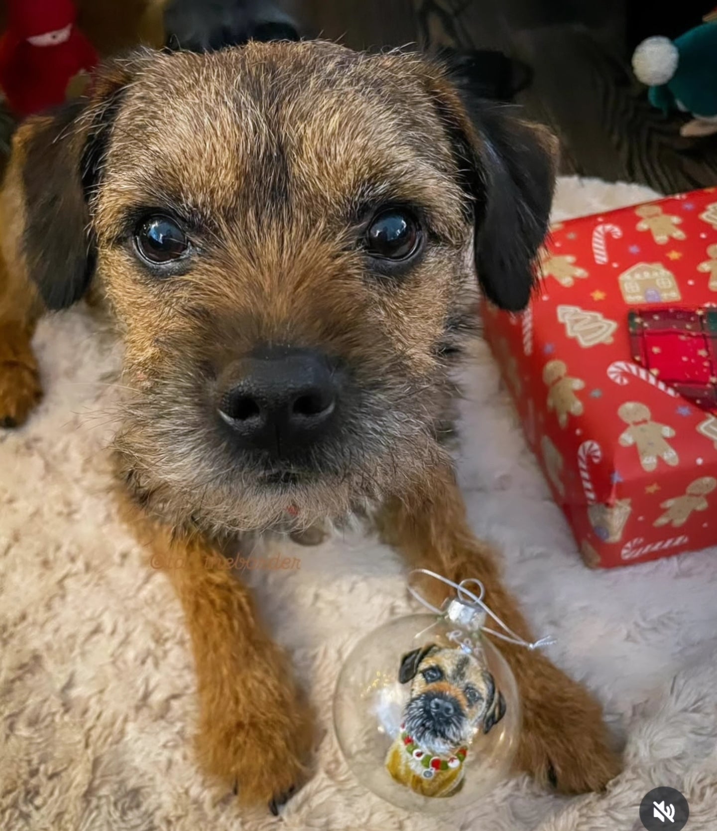 Hand Painted Glass Bauble