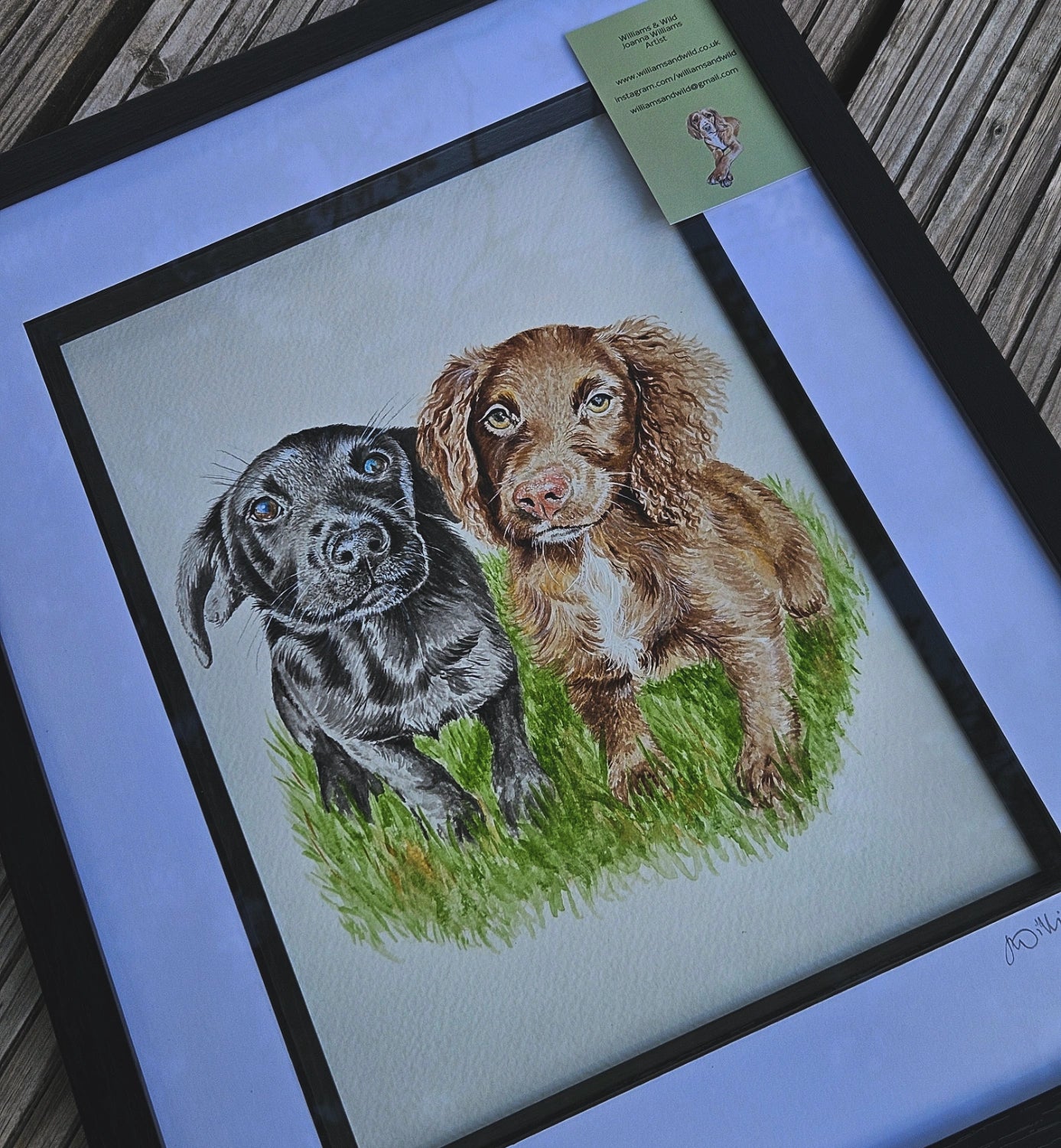 Pet Portrait Commission